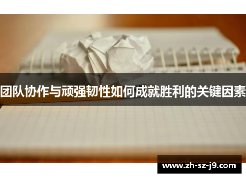 团队协作与顽强韧性如何成就胜利的关键因素