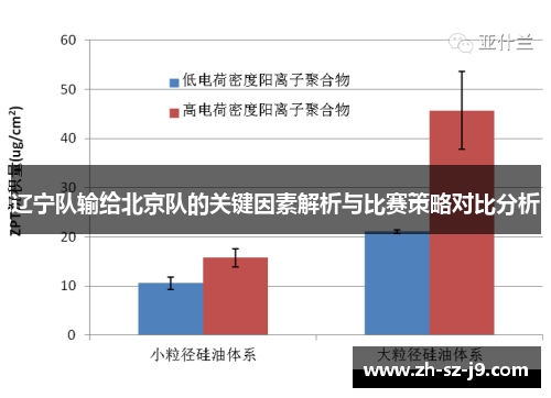 辽宁队输给北京队的关键因素解析与比赛策略对比分析