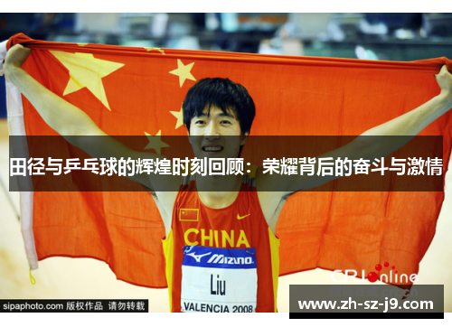 田径与乒乓球的辉煌时刻回顾：荣耀背后的奋斗与激情