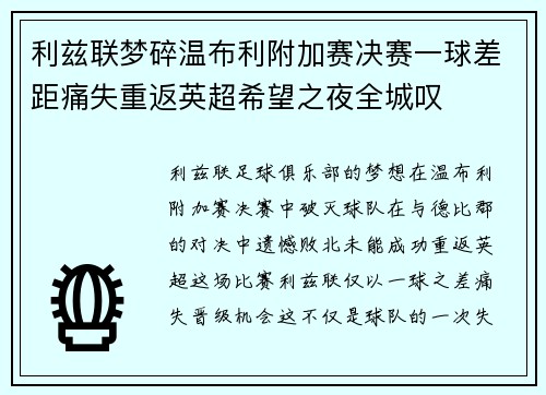 利兹联梦碎温布利附加赛决赛一球差距痛失重返英超希望之夜全城叹 利兹联梦碎温布利附加赛决赛一球差距痛失重返英超希望之夜全城叹