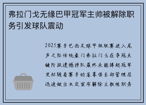 弗拉门戈无缘巴甲冠军主帅被解除职务引发球队震动